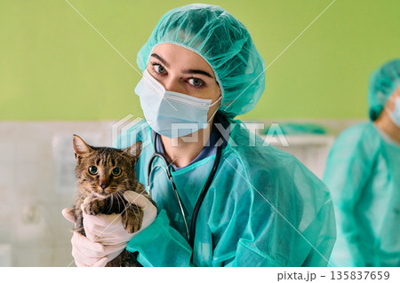 Vet in Green Scrubs Holds Cat for Examination in Clinic Wearing Mask and Gloves 135837659