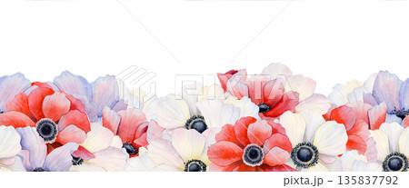 Field poppies blossom watercolor seamless border. White, red and pastel purple anemone flowers repeat bottom banner. Botanical floral hand drawn horizontal design with wildflowers 135837792
