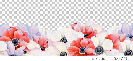 Field poppies blossom watercolor seamless border. White, red and pastel purple anemone flowers repeat bottom banner. Botanical floral hand drawn horizontal design with wildflowers 135837792