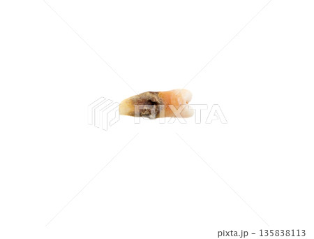 Human tooth on white background. 135838113