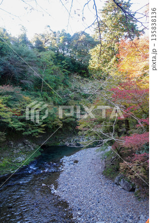 京都槙尾の清滝川 135838136