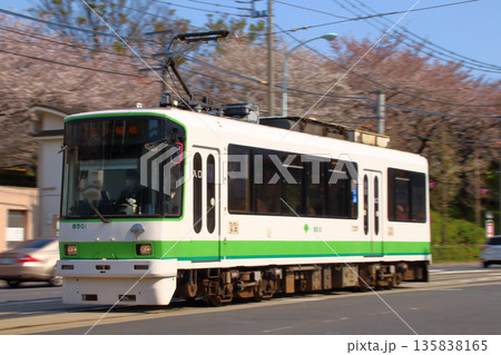 ［SA］東京さくらトラム／都電荒川線8500形8501号車（一般車時代） 135838165