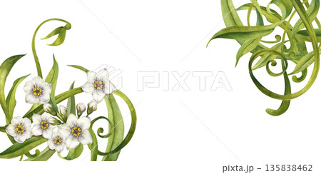 Abstract floral frame with swirling green leaves and white flowers. Watercolor botanical illustration template for wedding invitations, spring and summer holidays, eco-design, stationery, scrapbook Abstract floral frame with swirling green leaves and white flowers. Watercolor botanical illustration template for wedding invitations, spring and summer holidays, eco-design, stationery, scrapbook 135838462