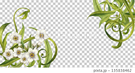 Abstract floral frame with swirling green leaves and white flowers. Watercolor botanical illustration template for wedding invitations, spring and summer holidays, eco-design, stationery, scrapbook Abstract floral frame with swirling green leaves and white flowers. Watercolor botanical illustration template for wedding invitations, spring and summer holidays, eco-design, stationery, scrapbook 135838462