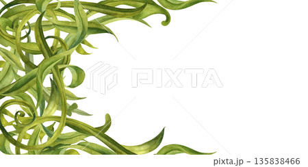 Abstract floral frame of swirling green leaves on a white background. Watercolor botanical illustration template for wedding invitations, spring and summer holidays, eco-design, stationery, scrapbook 135838466