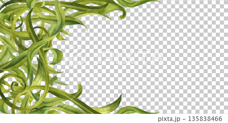 Abstract floral frame of swirling green leaves on a white background. Watercolor botanical illustration template for wedding invitations, spring and summer holidays, eco-design, stationery, scrapbook 135838466