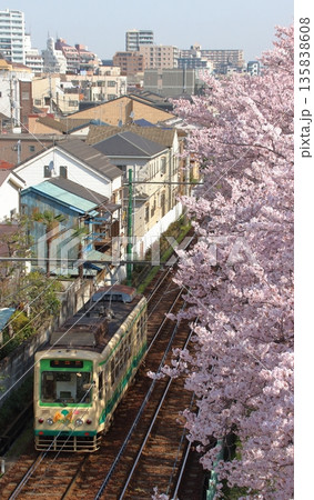 春の都電荒川線7000形（2016年：東京都荒川区荒川二丁目） 135838608