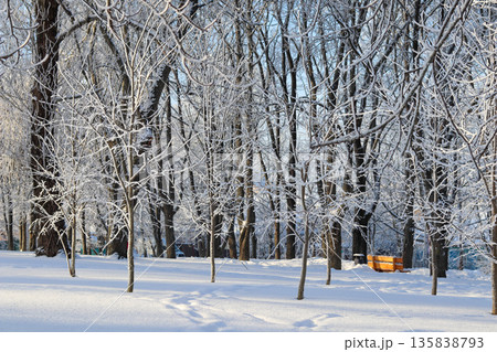 Winter scene capturing frosted trees in a snowy park landscape, sunlight creating long shadows on fresh powder Winter scene capturing frosted trees in a snowy park landscape, sunlight creating long shadows on fresh powder 135838793