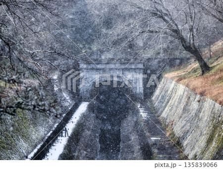 琵琶湖疏水の冬物語 琵琶湖疏水の冬物語 135839066