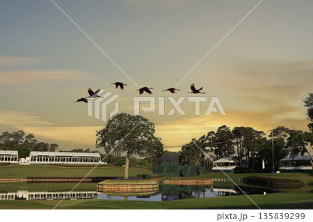 hole 17, tpc Sawgrass golf course, Ponte Vedra, Florida 135839299