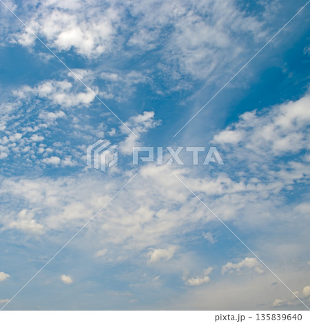 Vibrant Daytime Sky With Fluffy White Clouds and Open Copy Space Horizontal 135839640