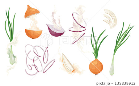 Set of Onions icons. Onion bulb in peel, half and rings. Yellow Head of onion with green sprout and pieces. Cook ingredients, spices. Organic food Set of Onions icons. Onion bulb in peel, half and rings. Yellow Head of onion with green sprout and pieces. Cook ingredients, spices. Organic food 135839912