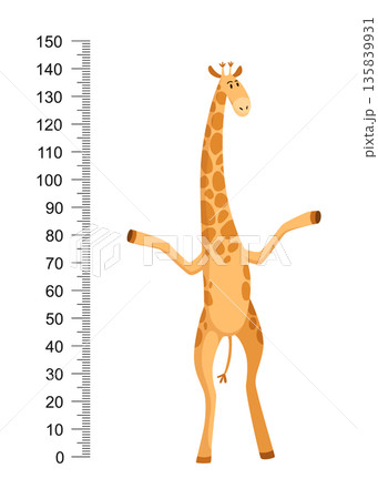 Funny giraffe. Cheerful funny giraffe with long neck. Giraffe meter wall or height chart or wall sticker. Illustration with scale from 0 to 150 centimeter to measure growth 135839931