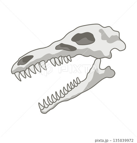 Dinosaurs skeletons parts underground. Fossils, bones of prehistoric reptiles and ammonites Dinosaurs skeletons parts underground. Fossils, bones of prehistoric reptiles and ammonites 135839972