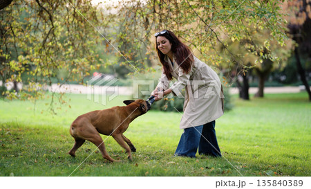 Young woman playing tug of war with dog in park 135840389