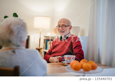 Senior couple enjoying quiet time together at home. Senior couple enjoying quiet time together at home. 135840701