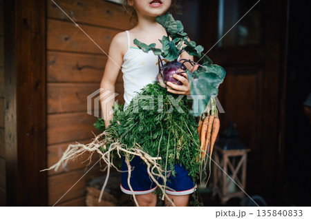 Little girl holding freshly harvested vegetables in home garden. Little girl holding freshly harvested vegetables in home garden. 135840833