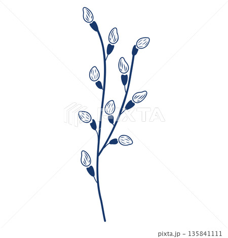 Pussy willow branch silhouette, graphic outline template. Hand drawn vector isolated illustration. For Easter and seasonal designs, greeting cards, travel magazines, garden goods, nature clip arts. 135841111