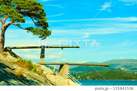 View of diving board. Springboard to dive at water. View of diving board. Springboard to dive at water. 135841536