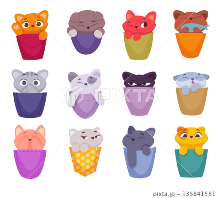 Kittens. Pockets of clothes with cute adorable little animals exact vector kittens collection 135841581