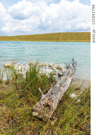 A peaceful lakeside scene with turquoise water, grassy bank, and a weathered log 135841799