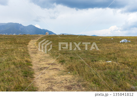 A tranquil rural summer landscape featuring a dirt path A tranquil rural summer landscape featuring a dirt path 135841812