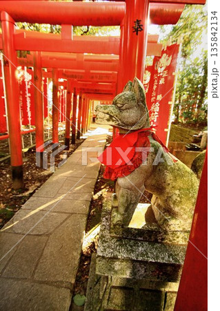 日本唯一の夢叶え大明神・夢結びの神様… 稲敷『大杉神社』の稲荷神社 135842134
