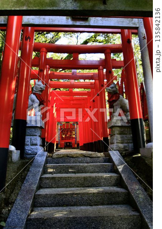 日本唯一の夢叶え大明神・夢結びの神様… 稲敷『大杉神社』の稲荷神社 135842136