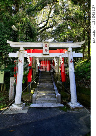 日本唯一の夢叶え大明神・夢結びの神様… 稲敷『大杉神社』の稲荷神社 日本唯一の夢叶え大明神・夢結びの神様… 稲敷『大杉神社』の稲荷神社 135842137