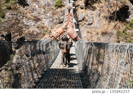 Hillary suspension bridge view along EBC trek, Nepal 135842257