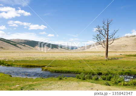 Landscape from Altai Tavan Bogd National Park, Mongolia 135842347