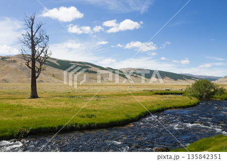 Landscape from Altai Tavan Bogd National Park, Mongolia 135842351
