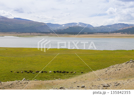 Khurgan lake landscape, Altai, Mongolia, Tsengel district Khurgan lake landscape, Altai, Mongolia, Tsengel district 135842355