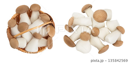 King Oyster mushroom or Eringi in wicker basket isolated on white background . Top view. Flat lay King Oyster mushroom or Eringi in wicker basket isolated on white background . Top view. Flat lay 135842569