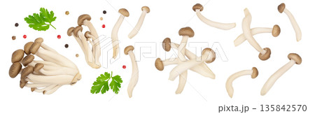 Brown beech mushrooms or Shimeji mushroom isolated on white background . Top view, flat lay 135842570