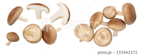 Fresh Shiitake mushroom isolated on white background . Top view. Flat lay 135842572