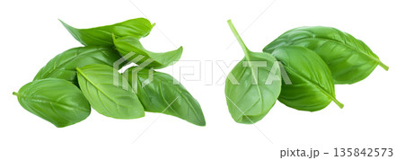 Fresh basil leaf isolated on white background with full depth of field 135842573