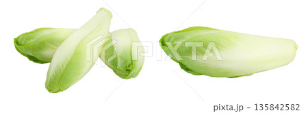 Chicory salad isolated on white background with full depth of field. Chicory salad isolated on white background with full depth of field. 135842582