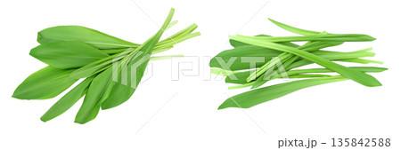 Ramson leaves isolated on white background with full depth of field, Top view. Flat lay Ramson leaves isolated on white background with full depth of field, Top view. Flat lay 135842588