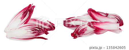 red chicory or radicchio isolated on white background 135842605