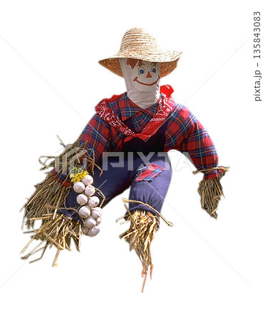 a Scarecrow with Garlic Garland isolated on a white background 135843083