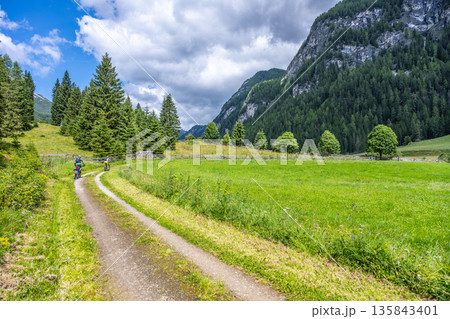 A picturesque path winds through a lush green meadow, surrounded by majestic mountains in Austria. A couple enjoys a leisurely walk, embracing the beauty of nature and tranquility. A picturesque path winds through a lush green meadow, surrounded by majestic mountains in Austria. A couple enjoys a leisurely walk, embracing the beauty of nature and tranquility. 135843401