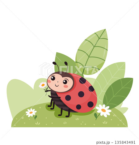 Smiling ladybug holding a daisy flower on green grass with leaves background. Springtime fun 135843491