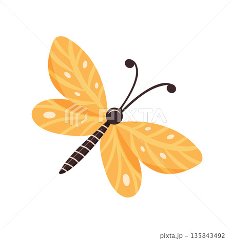 Yellow butterfly with leaf-like wings. symbolizing nature and transformation Yellow butterfly with leaf-like wings. symbolizing nature and transformation 135843492