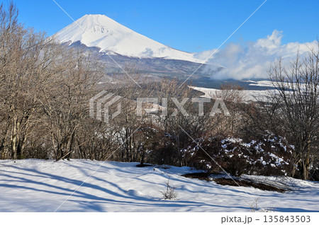 愛鷹山塊 積雪した黒岳山頂より望む富士山 愛鷹山塊 積雪した黒岳山頂より望む富士山 135843503