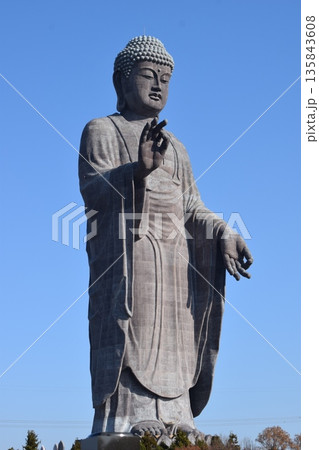牛久大仏 世界最大のブロンズ立像 牛久大仏 世界最大のブロンズ立像 135843608