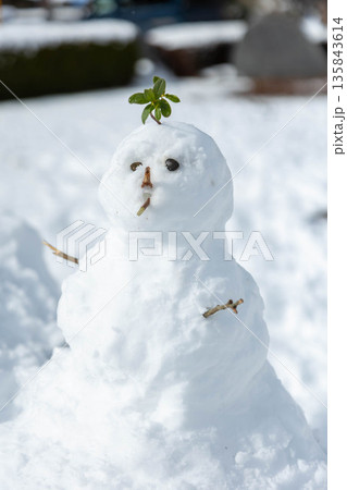 手作りの雪だるま 手作りの雪だるま 135843614