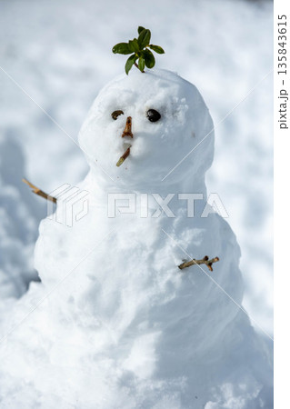 手作りの雪だるま 135843615