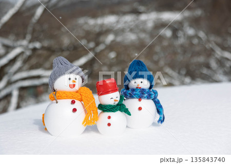 新雪と雪だるまたち 135843740