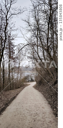 An empty asphalt path in an autumn or winter forest among bare trees An empty asphalt path in an autumn or winter forest among bare trees 135843808